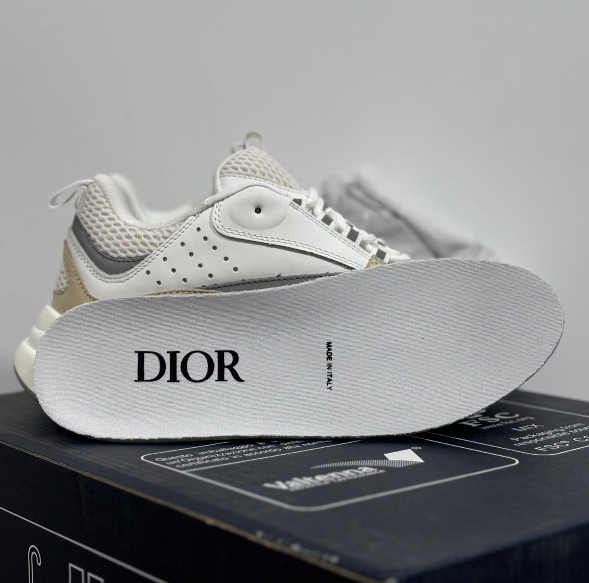 Dior b22 brown white