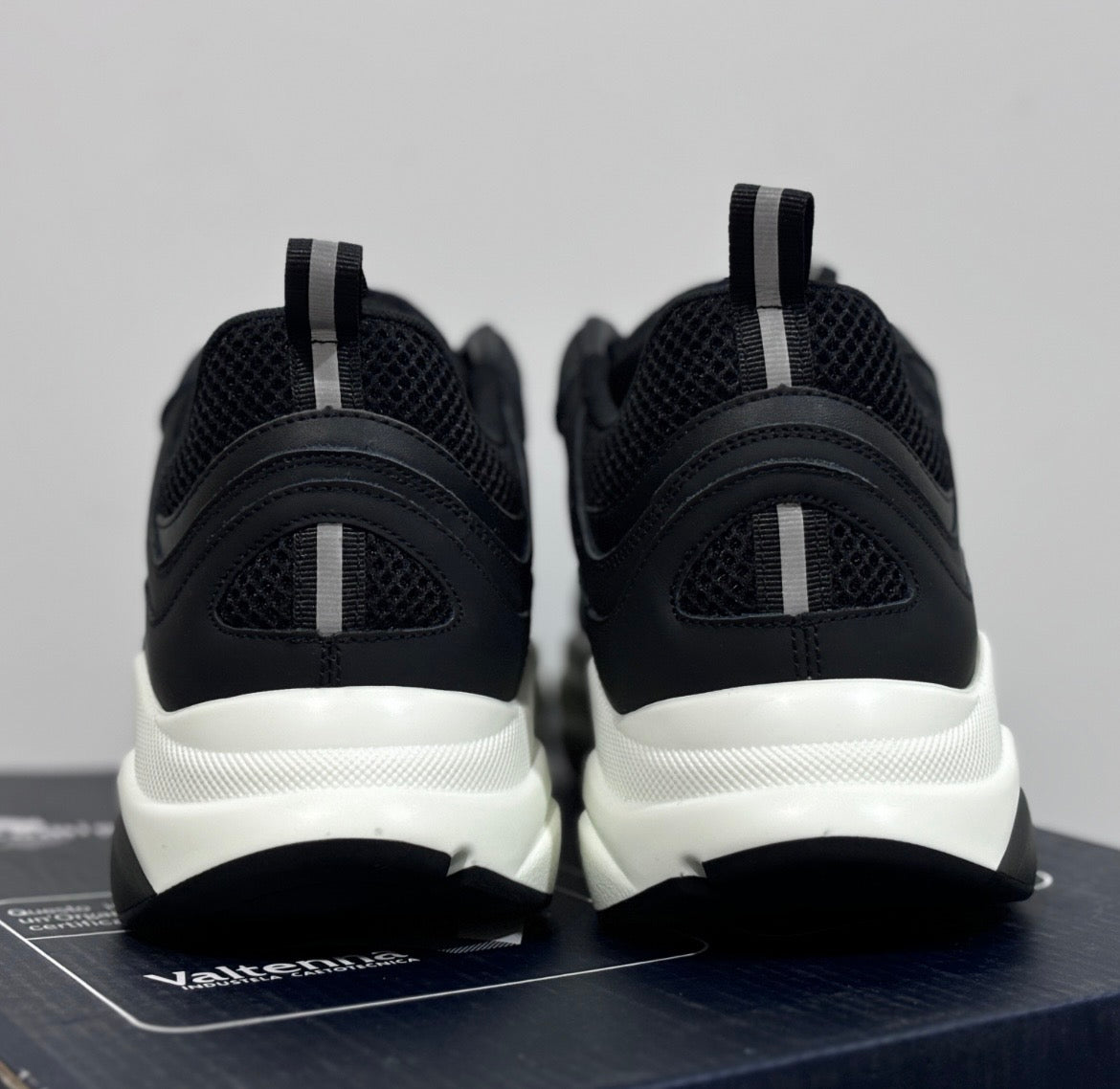 Dior b22 white black
